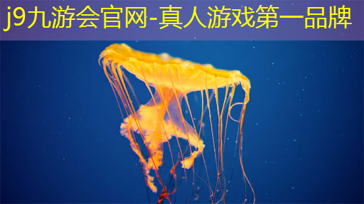 j9九游真人游戏第一平台：雨毛球游戏小程序