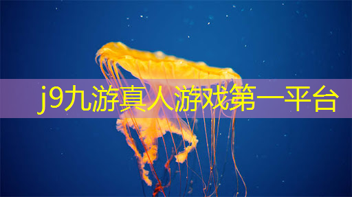 雨毛球游戏小程序
