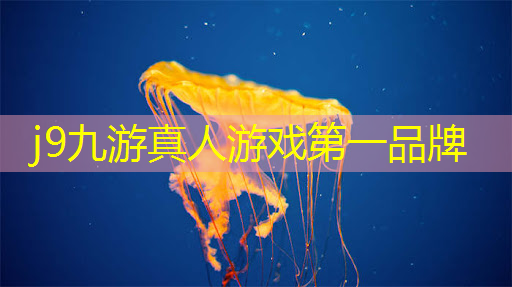 圣斗士游戏原画