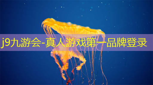 植物大战僵尸3d珊儿玩游戏